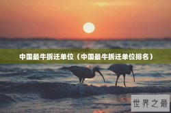 中国最牛拆迁单位（中国最牛拆迁单位排名）