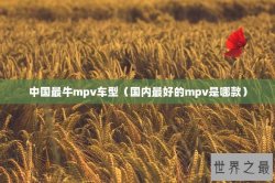 中国最牛mpv车型（国内最好的mpv是哪款）