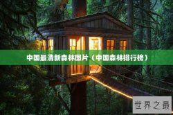 中国最清新森林图片（中国森林排行榜）