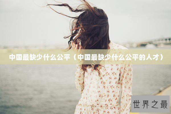 中国最缺少什么公平（中国最缺少什么公平的人才）