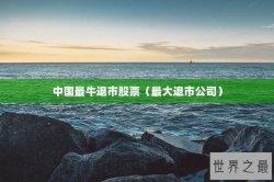 中国最牛退市股票（最大退市公司）
