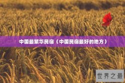 中国最繁华民宿（中国民宿最好的地方）