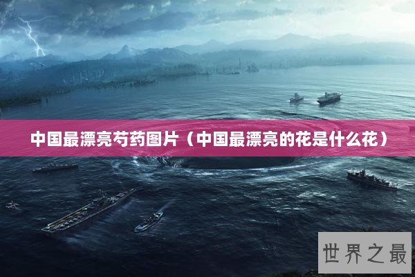 中国最漂亮芍药图片（中国最漂亮的花是什么花）