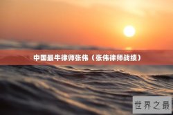 中国最牛律师张伟（张伟律师战绩）