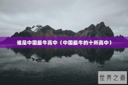 谁是中国最牛高中（中国最牛的十所高中）