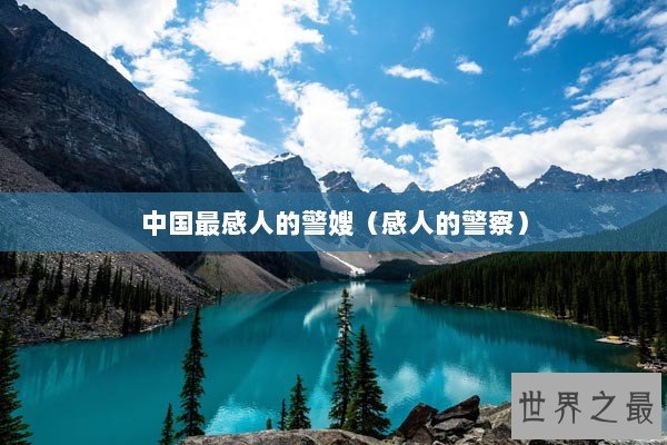 中国最感人的警嫂（感人的警察）