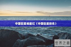 中国巨星谁最红（中国巨星排名）