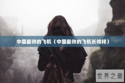 中国最帅的飞机（中国最帅的飞机长啥样）