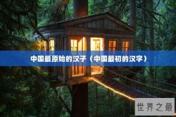 中国最原始的汉子（中国最初的汉字）