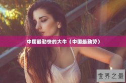 中国最勤快的大牛（中国最勤劳）