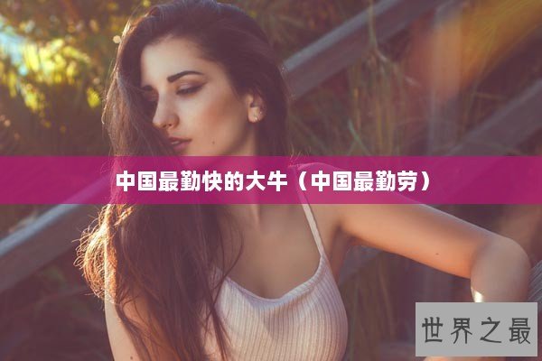 中国最勤快的大牛(中国最勤劳) 中国最勤快的大牛(中国最勤劳)