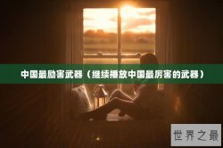 中国最励害武器（继续播放中国最厉害的武器）