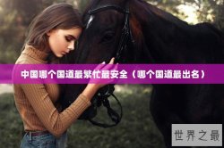 中国哪个国道最繁忙最安全（哪个国道最出名）