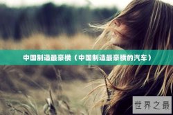 中国制造最豪横（中国制造最豪横的汽车）