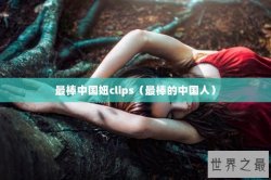 最棒中国妞clips（最棒的中国人）