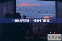 中国最霸气商铺（中国最牛门面房）