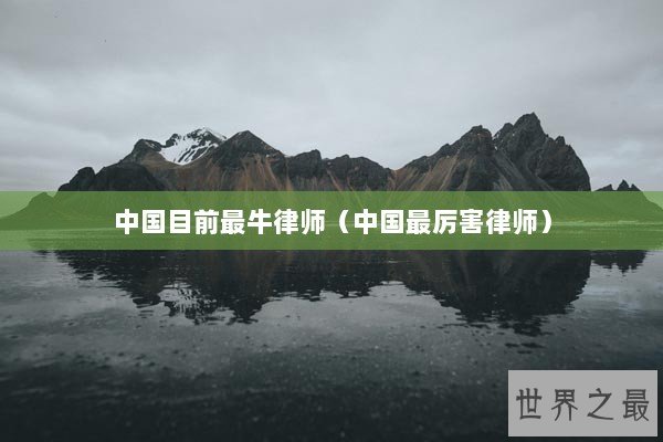 中国目前最牛律师（中国最厉害律师）