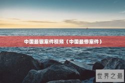 中国最狠案件视频（中国最惨案件）