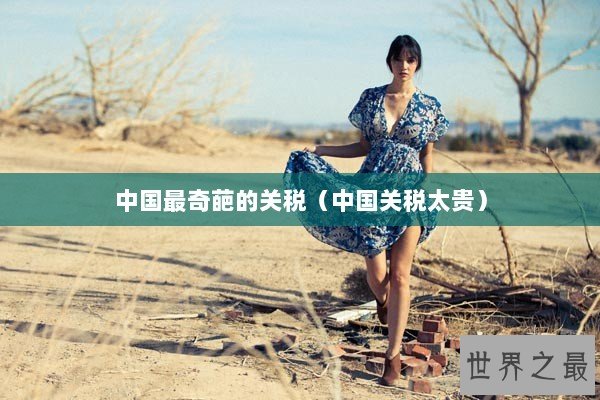 中国最奇葩的关税（中国关税太贵）