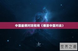 中国最燃对攻视频（播放中国对战）