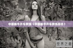 中国最牛开车教练（中国最牛开车教练排名）