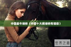 中国最牛堵桥（中国十大拥堵桥有哪些）