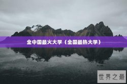 全中国最火大学（全国最热大学）