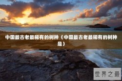 中国最古老最稀有的树种（中国最古老最稀有的树种是）