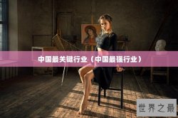 中国最关键行业（中国最强行业）