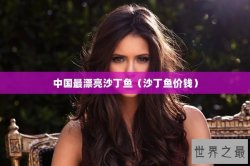 中国最漂亮沙丁鱼（沙丁鱼价钱）