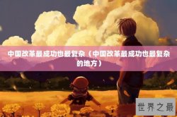 中国改革最成功也最复杂（中国改革最成功也最复杂的地方）