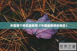 中国哪个地区最聪明（中国最聪明的地区）