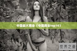 中国最火商业（中国商业top10）