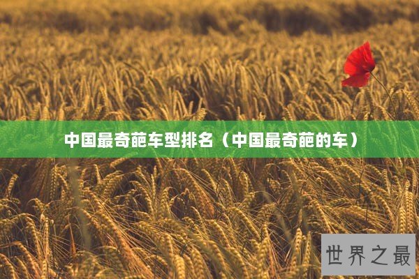 中国最奇葩车型排名（中国最奇葩的车）