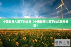 中国最催人泪下的文章（中国最催人泪下的文章有哪些）