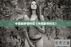 中国最挣钱村庄（中国最壕村庄）