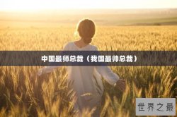 中国最师总裁（我国最帅总裁）
