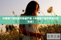 中国哪个城市最内卷最严重（中国哪个城市有迪士尼乐园）