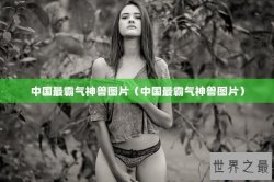 中国最霸气神兽图片（中国最霸气神兽图片）