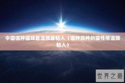 中国哪种猫咪最温顺最粘人（哪种品种的猫性格温顺粘人）