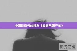 中国最霸气的轿车（最霸气国产车）