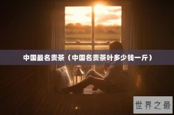 中国最名贵茶（中国名贵茶叶多少钱一斤）