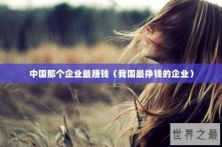 中国那个企业最赚钱（我国最挣钱的企业）