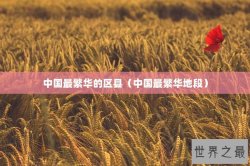 中国最繁华的区县（中国最繁华地段）