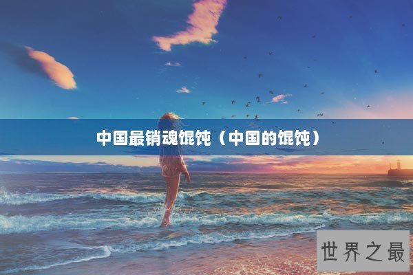 中国最销魂馄饨（中国的馄饨）