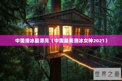 中国滑冰最漂亮（中国最美滑冰女神2021）