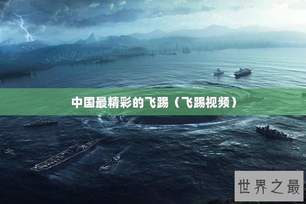 中国最精彩的飞踢（飞踢视频）