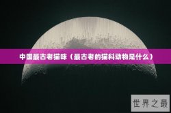 中国最古老猫咪（最古老的猫科动物是什么）