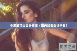 中国最顶尖会计专家（国内知名会计学者）