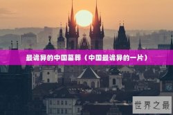 最诡异的中国墓葬（中国最诡异的一片）